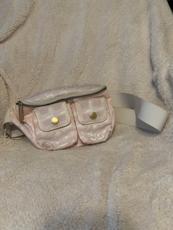 CHANEL Handbags - CHANEL Pink Quilted Mini Belt Bag with Gold Hardware